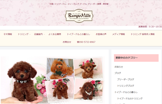 ブンゴヒルズのトップページキャプチャ